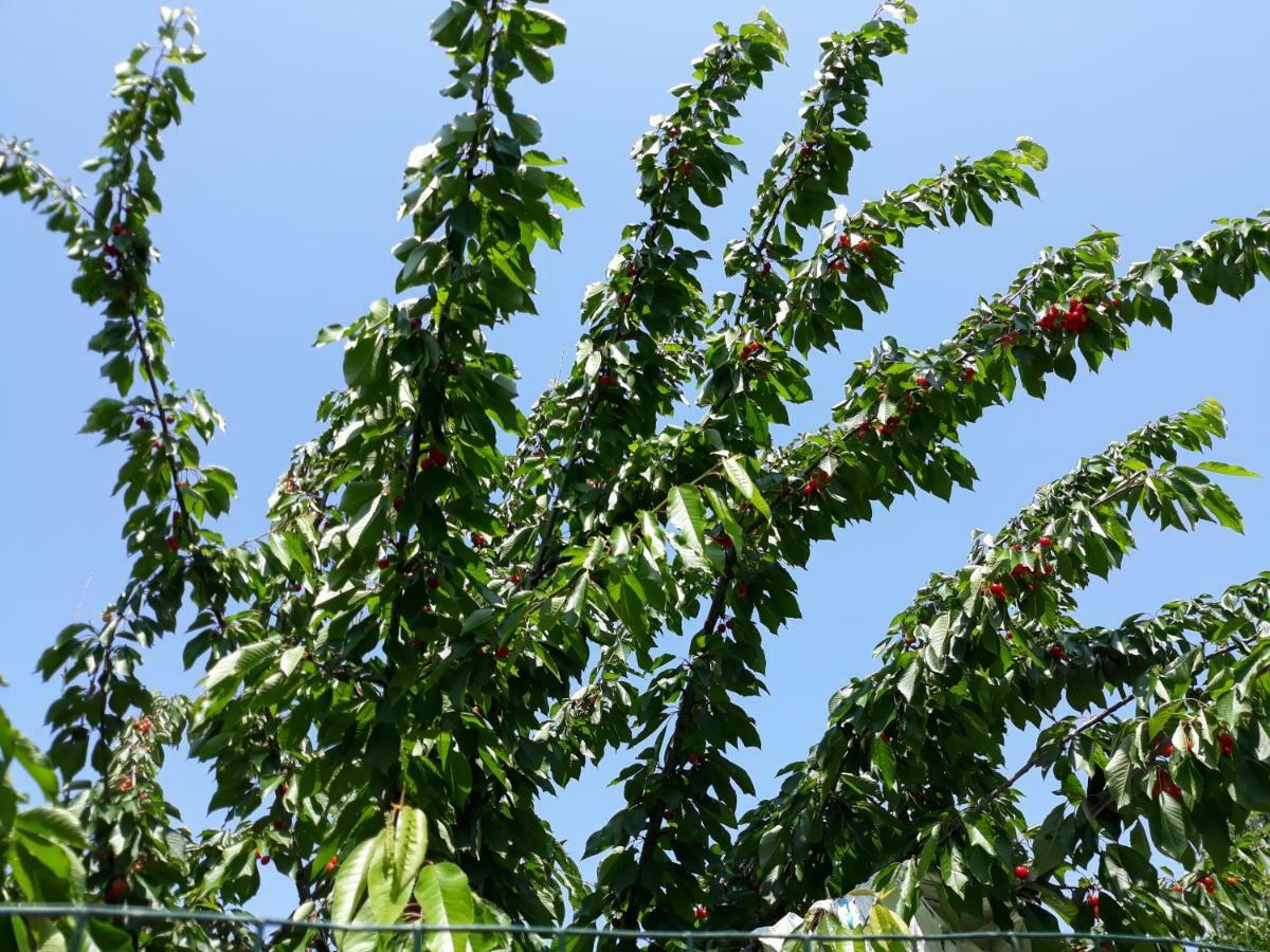 Il Poggio Ξενοδοχείο Pontedera Εξωτερικό φωτογραφία